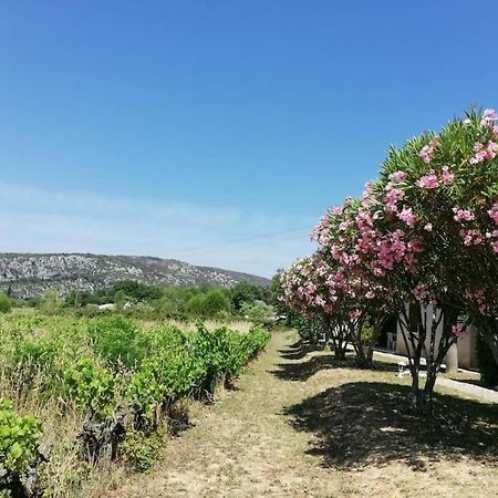 Maison A Louer En Ardeche Du Sud Saint-Martin-dʼArdèche Exteriér fotografie